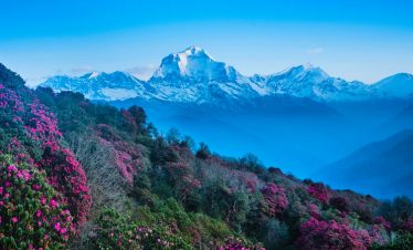 Ghorepani Poon Hill Trek